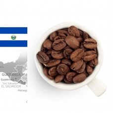 GURMAN'S SALVADOR PACAMARA kavos pupelės