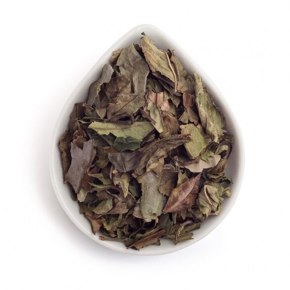 GURMAN'S MORNING DEW, white tea