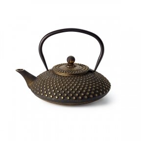 Iron teapot XIAMEN 1.2l