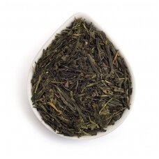 PRESTO SPRING SENCHA, green tea